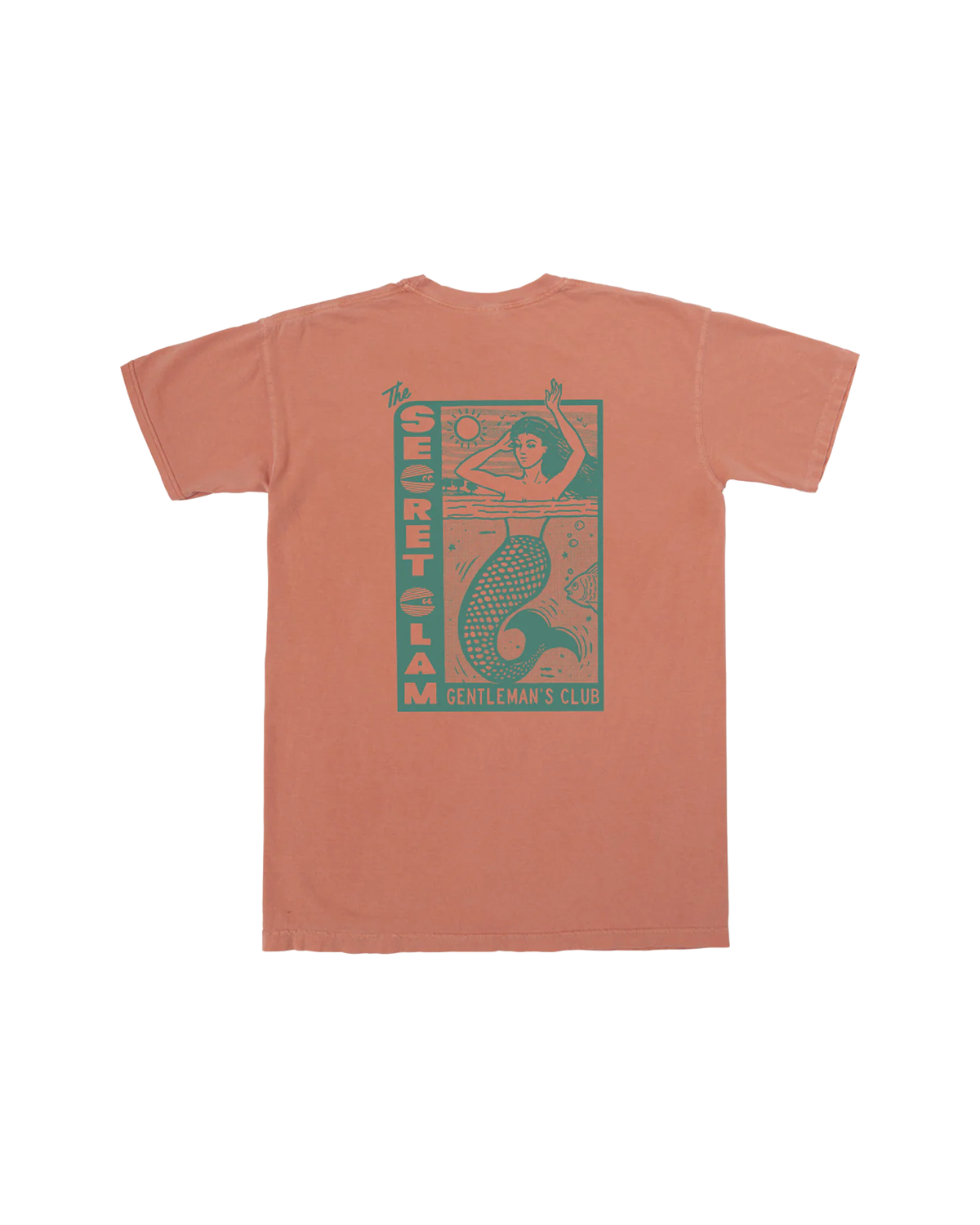 Secret Pigment T-Shirt (zoomed)