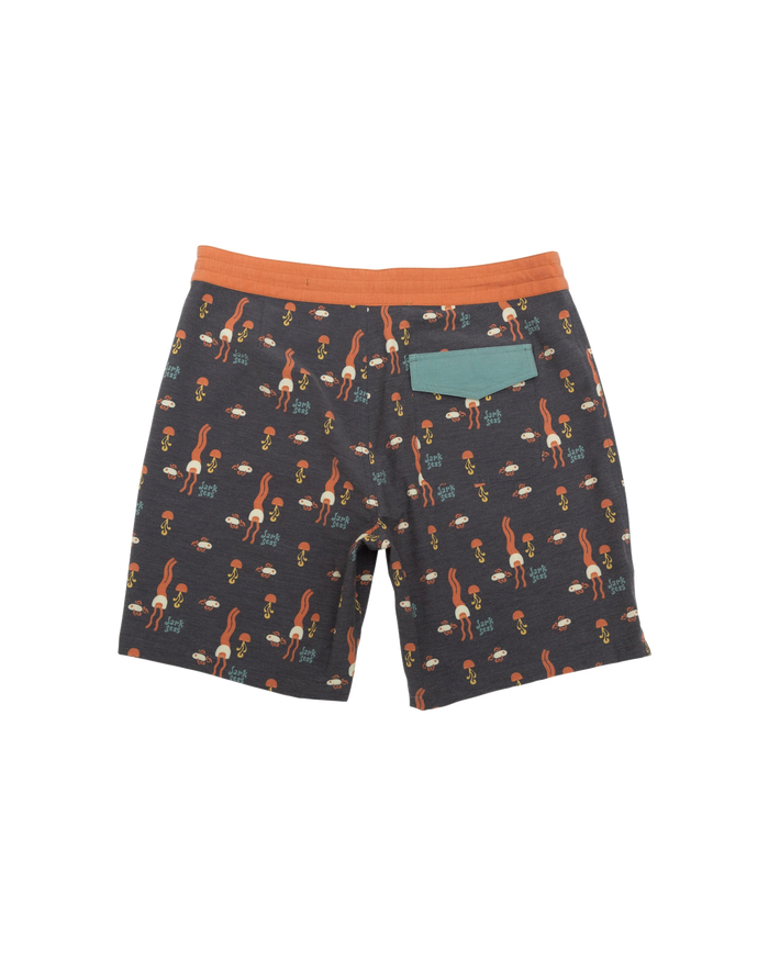 Dark Seas Highlands Boardshort Black - alternate view