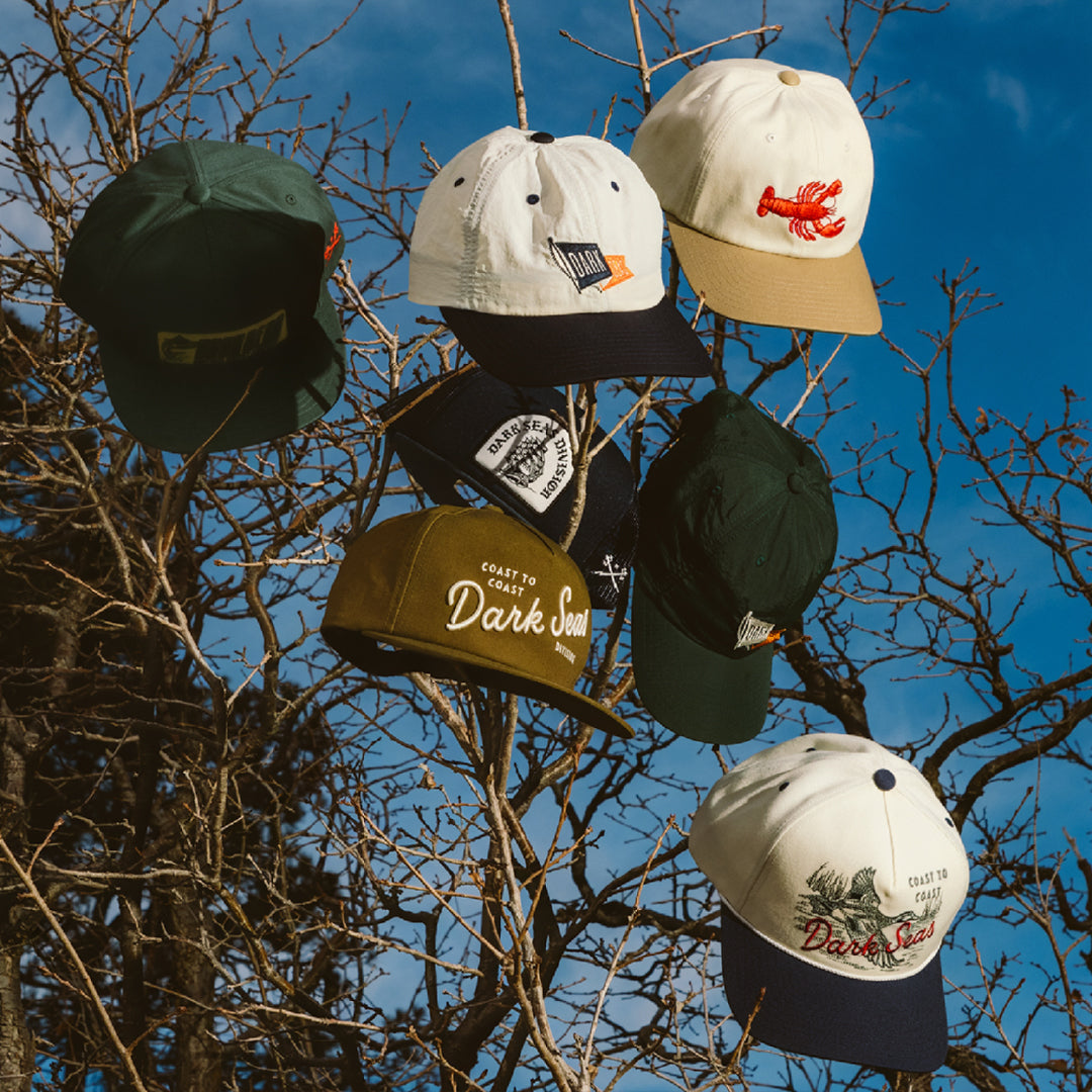 Assorted Dark Seas hats hanging from tree branches outdoors