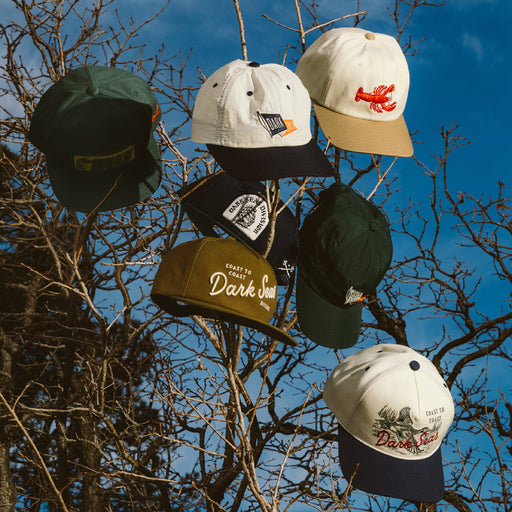 Assorted Dark Seas hats hanging from tree branches outdoors